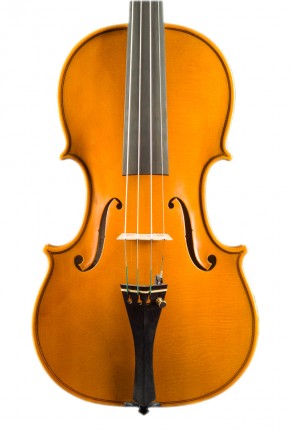 Violin - image