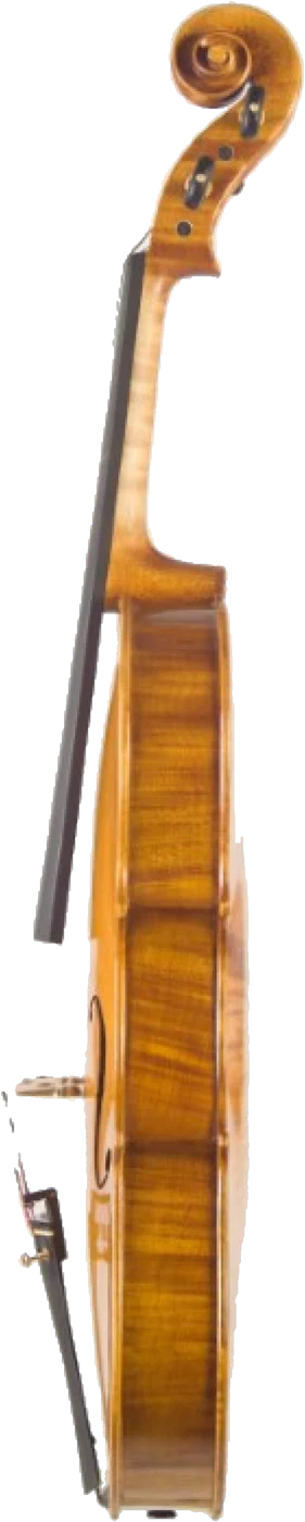 Handmade viola by Gregorio Martini, side view