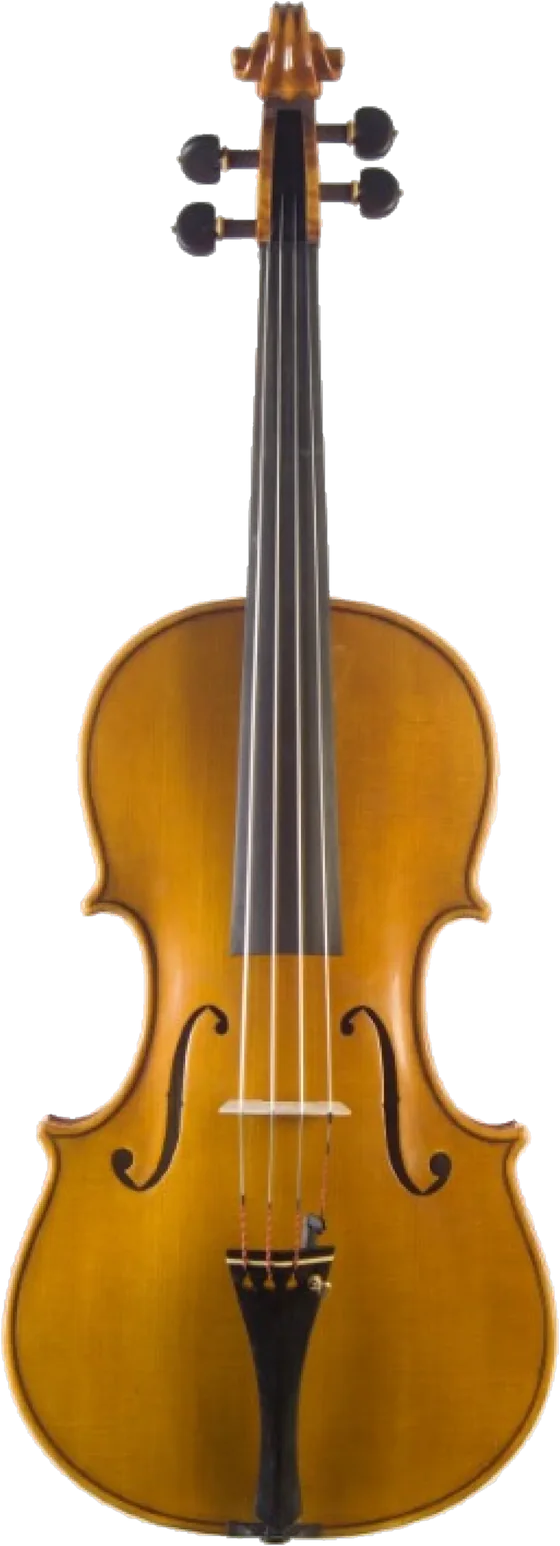 La viola finita di Gregorio Martini