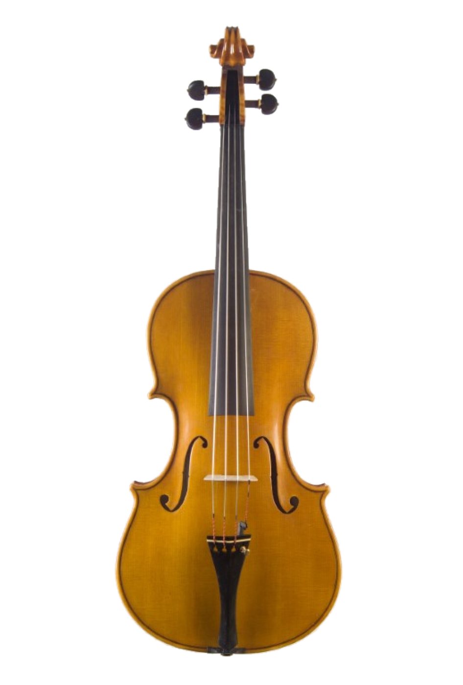 Viola fatta a mano verniciata, vista intera
