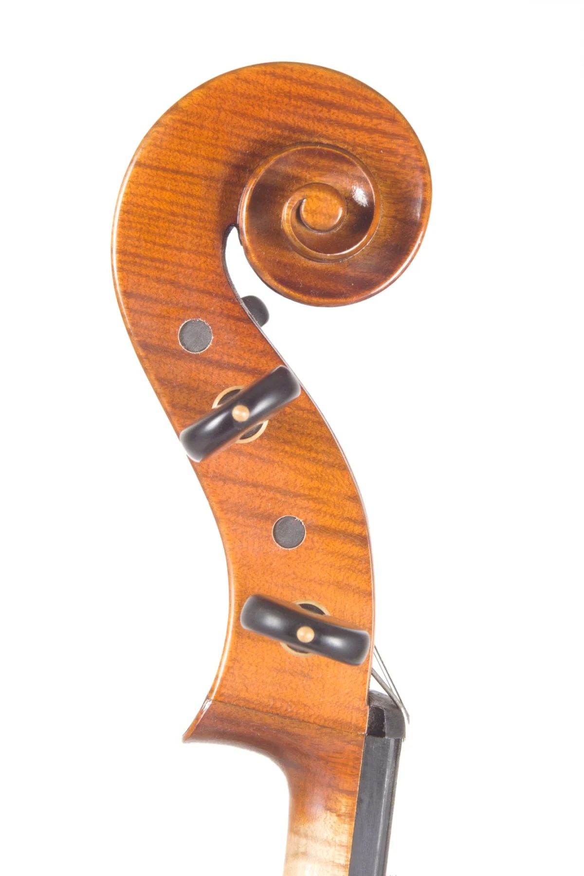 Handmade cello by Gregorio Martini, Opus 01 — scroll