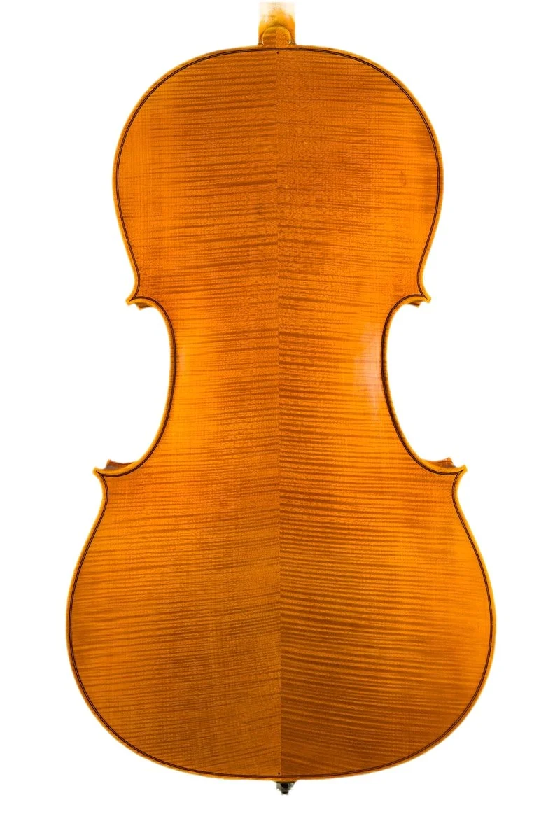 Handmade cello by Gregorio Martini, Opus 03 — back