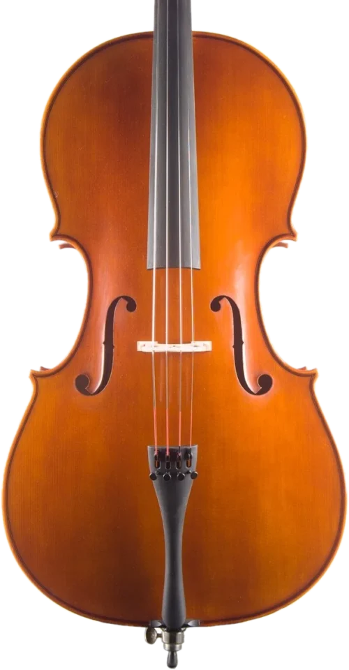 Violoncello fatto a mano da Gregorio Martini, Opus 02