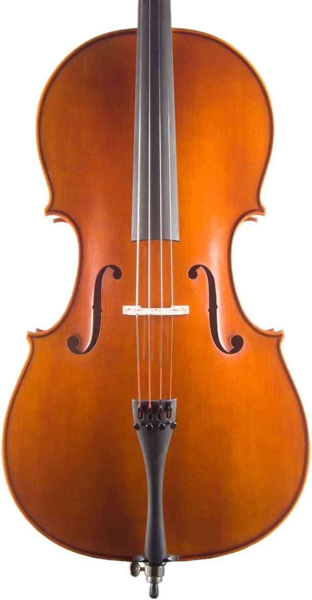 Handmade cello · opus 02 by Gregorio Martini
