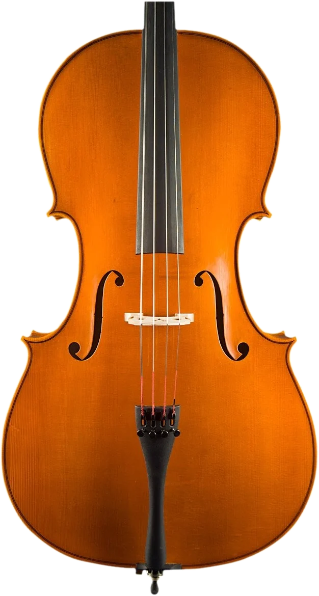 Handmade cello by Gregorio Martini, Opus 03 — front