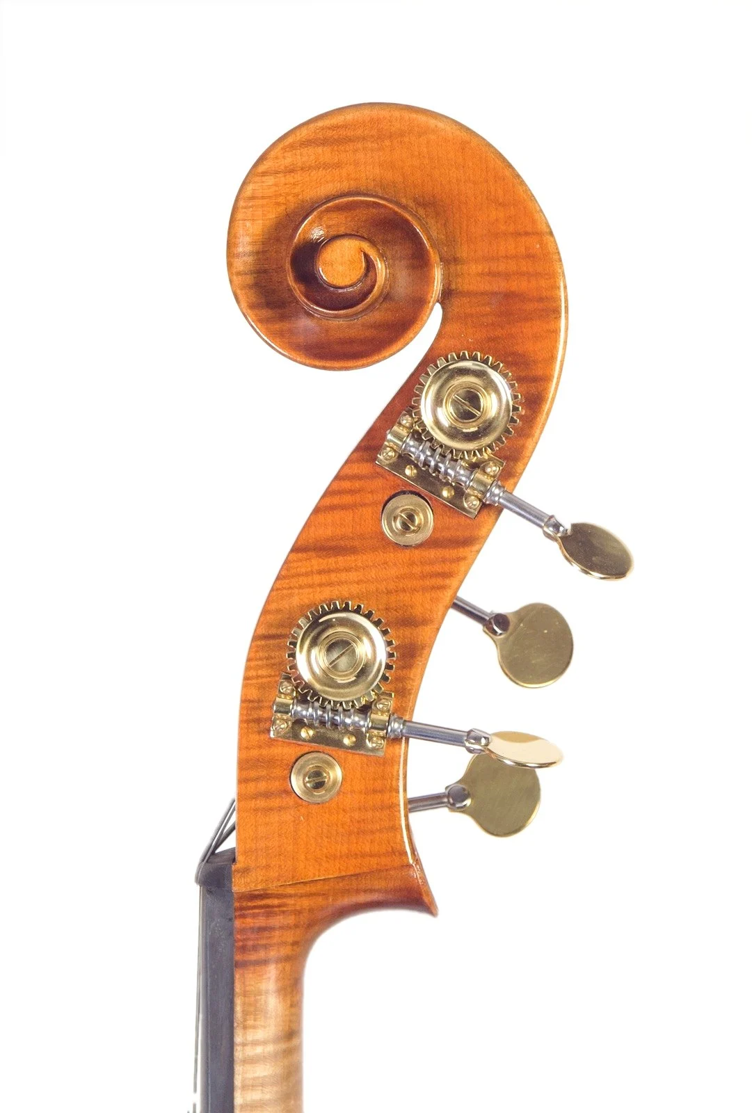 Handmade double bass by Gregorio Martini, Opus 02 — scroll
