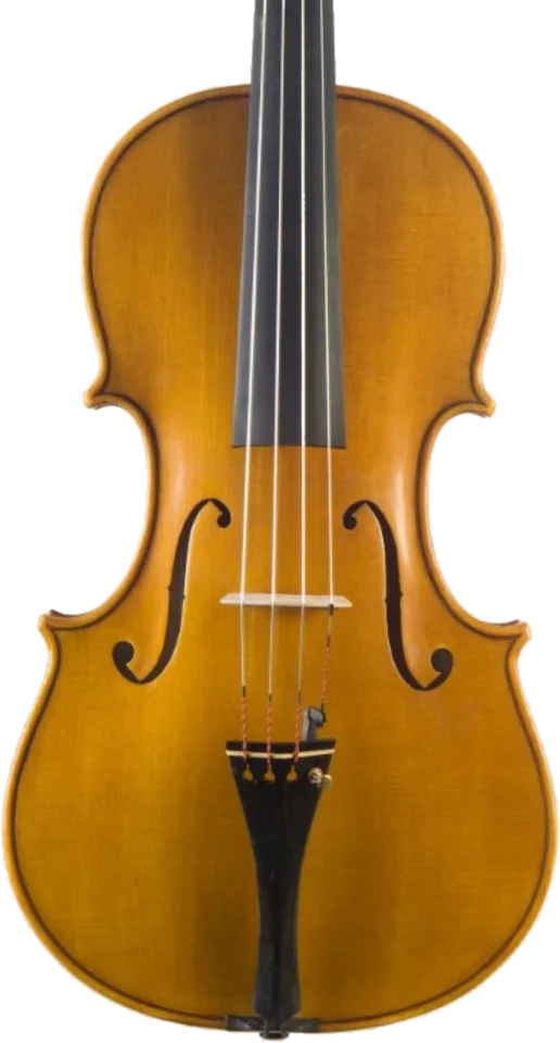 Viola · Opus 01 by Gregorio Martini in amber varnish
