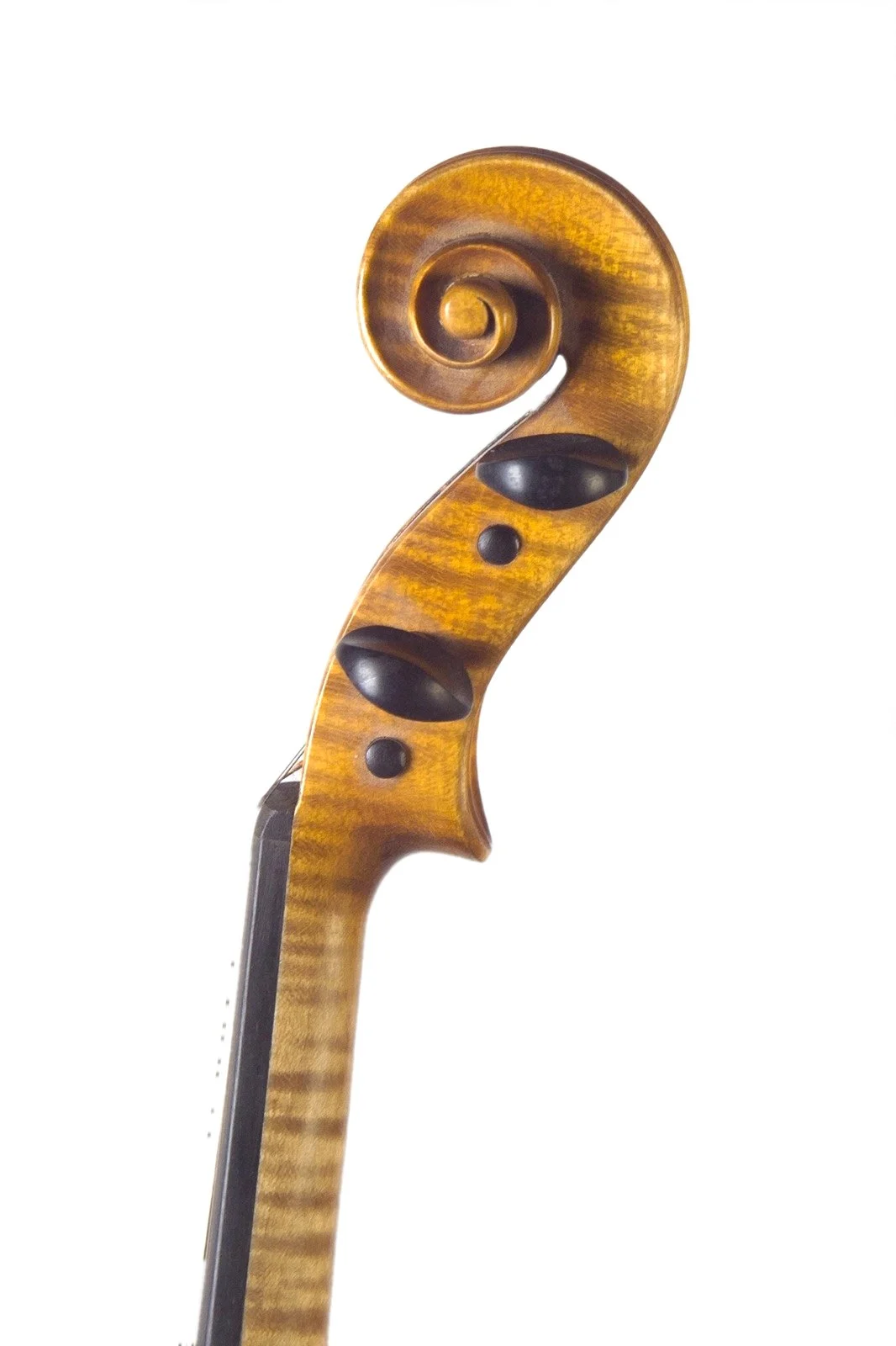 Handmade violin by Gregorio Martini, Opus 07 — scroll
