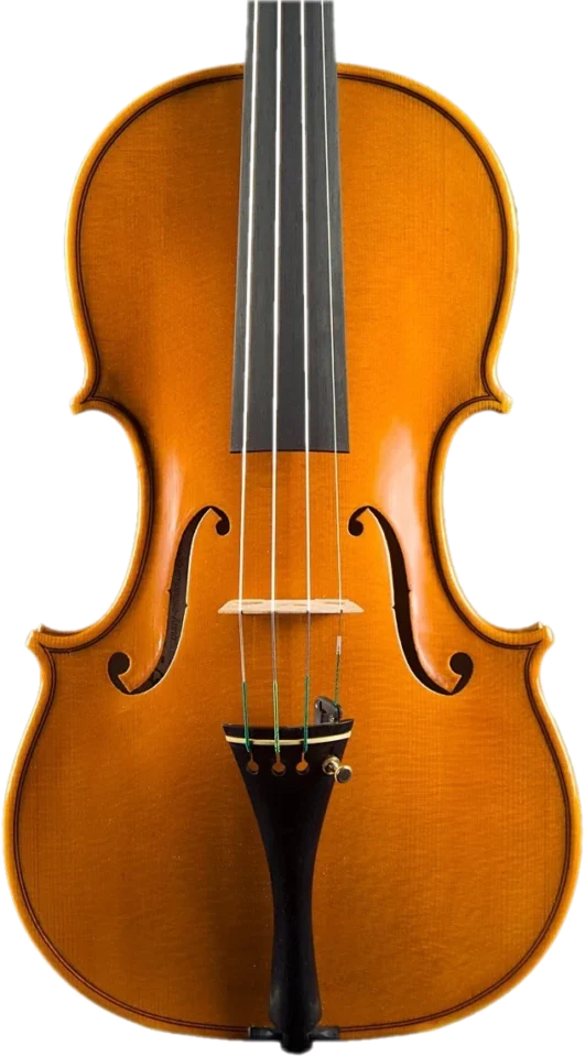 Violino fatto a mano da Gregorio Martini, Opus 01