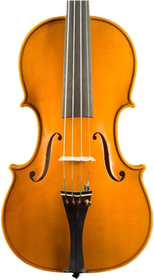 Violino fatto a mano da Gregorio Martini, Opus 02