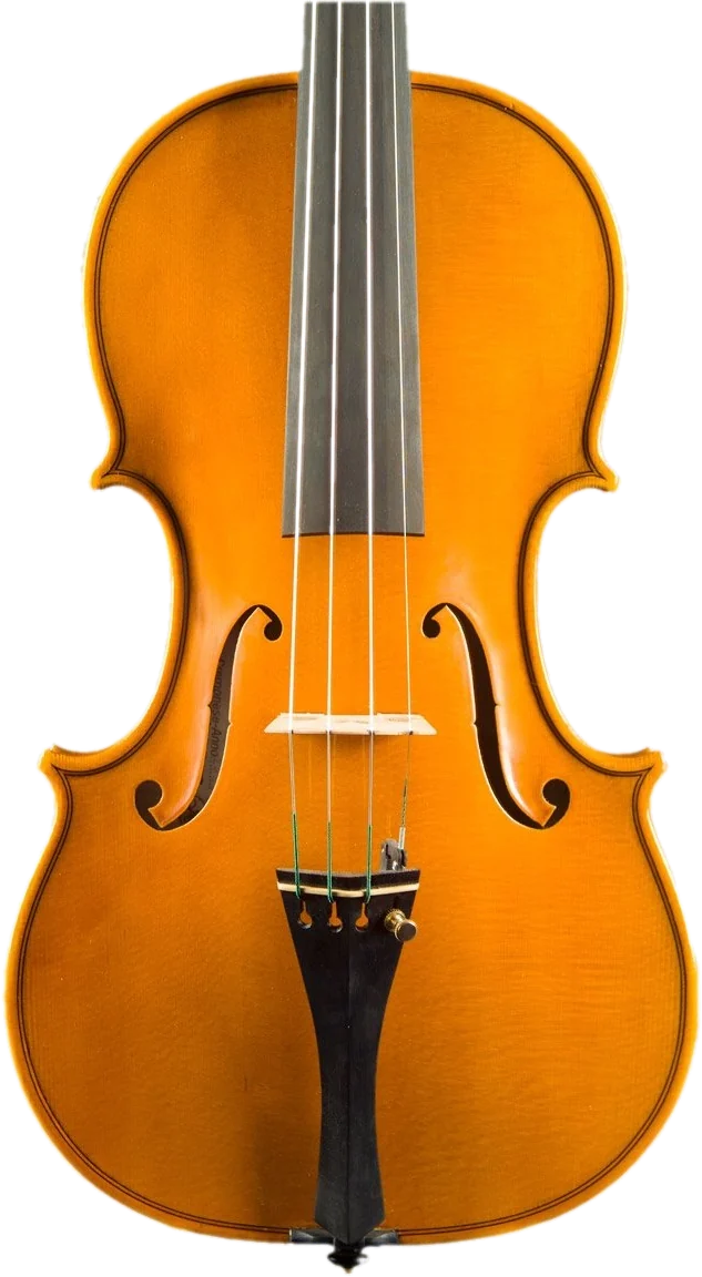Handmade violin · opus 02 by Gregorio Martini